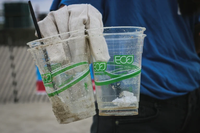Jak Mydlić Oczy Pod Pretekstem Ochrony Środowiska? – Greenwashing