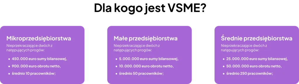 Raportowanie ESG dla MŚP: Co Musisz Wiedzieć o Standardzie VSME Dla kogo jest VSME? Podział na mikro-, małe i średnie przedsiębiorstwa.