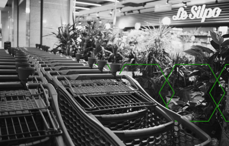 wózki sklepowe w supermarkecie