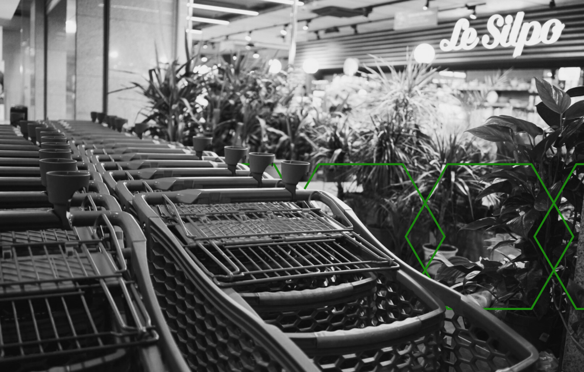 wózki sklepowe w supermarkecie